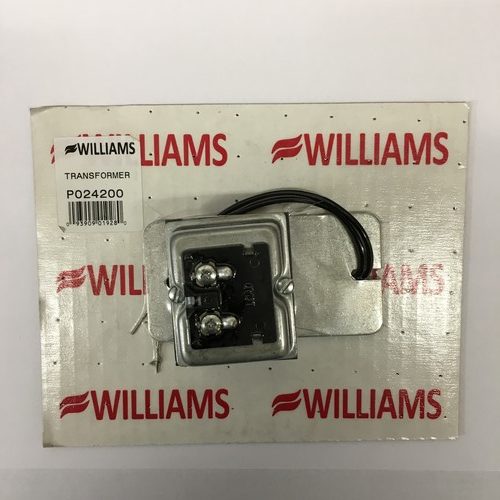 Image of Williams Transformer - P024200